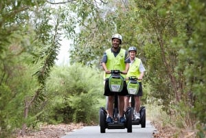 Perth Segway 1.5 Hour Kings Park Tour