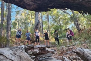 Perth: Serpentine National Park Extreme Endurance Hike