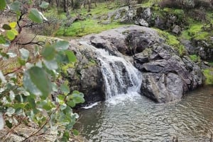 Perth: Serpentine National Park Extreme Endurance Hike