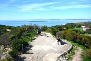 Perth: Passeio de caiaque no mar do Parque Marinho das Ilhas Shoalwater