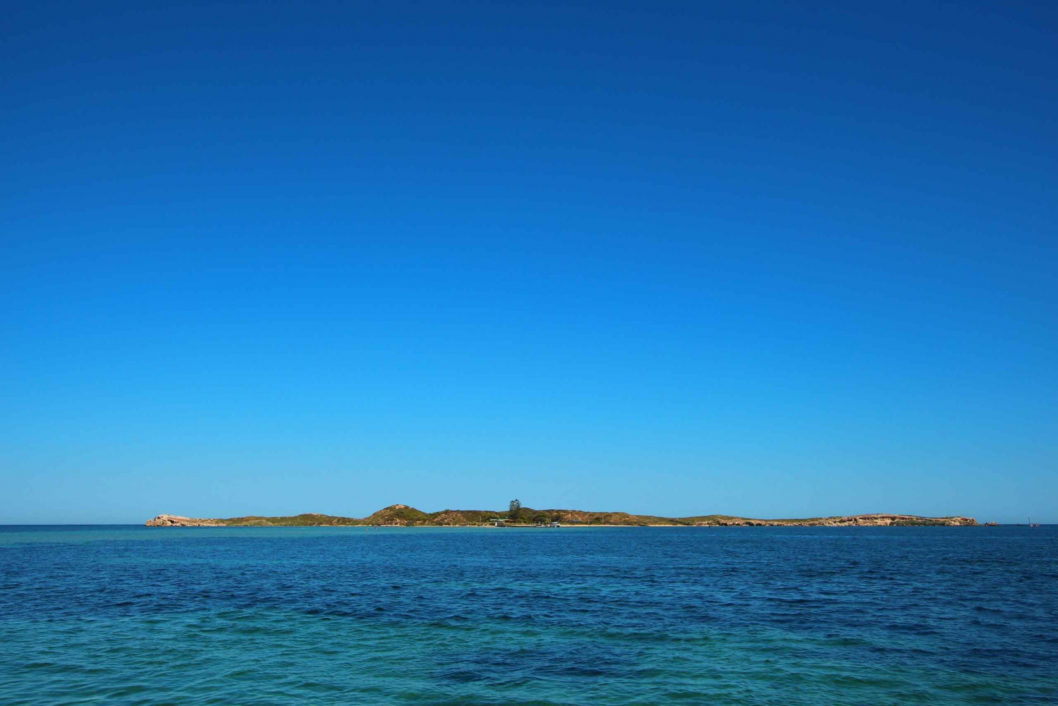 Perth: Shoalwater Islands Snorkel, Wildlife & Seafood Cruise