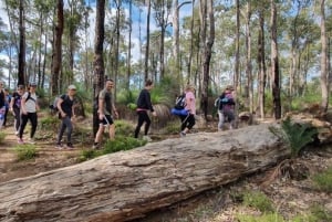 Perth: Sunset Yoga Hike with Light Supper