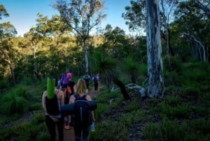 Perth: Sunset Yoga Hike with Light Supper