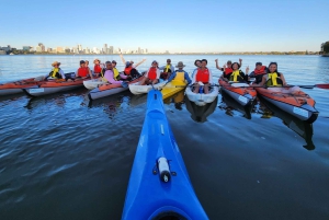 Perth: Kajaktocht op de Swan River met wijn en kaas
