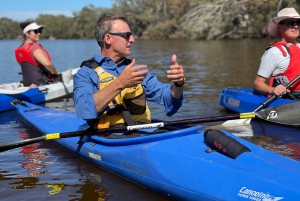 Perth: Kajaktocht op de Swan River met wijn en kaas