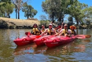 Perth: Swan River Kayak, Wine & Dine Experience