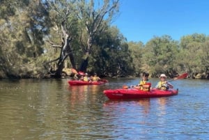 Perth: Swan River Kayak, Wine & Dine Experience