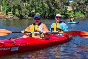 Perth: Swan River Kayaking Tour with Dining and Wine Tasting