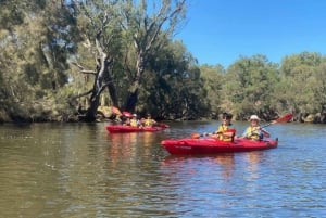 Perth: Swan River Kayaking Tour with Dining and Wine Tasting