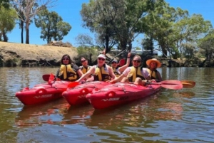 Perth: excursion en kayak sur la rivière Swan avec dîner et dégustation de vin