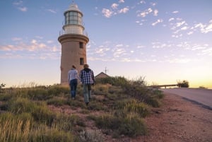 Perth to Exmouth 5-Day Coral Coaster One-Way Journey
