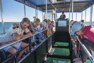 Perth to Exmouth 6-Day Coral Coaster One-Way Journey