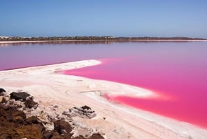 Perth nach Exmouth und zurück mit Monkey Mia und Ningaloo Reef