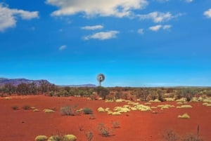 Perth nach Exmouth und zurück mit Monkey Mia und Ningaloo Reef