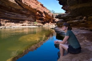 Perth nach Exmouth und zurück mit Monkey Mia und Ningaloo Reef