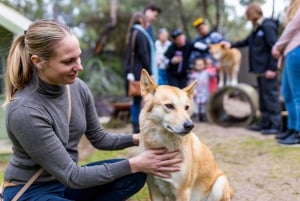 Perth: WA Wildlife Hospital and Native Fauna Encounter Tour