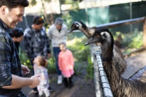 Perth: WA Wildlife Hospital and Native Fauna Encounter Tour