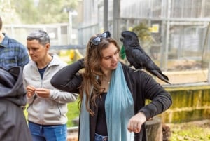 Perth: WA Wildlife Hospital and Native Fauna Encounter Tour