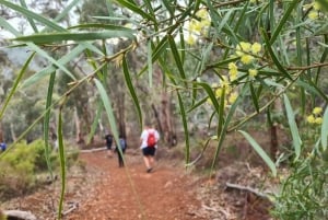 Perth Cascadas, flores silvestres y experiencia de senderismo en Wandoo