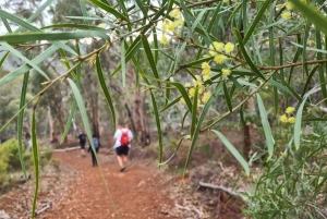 Перт: водопады, полевые цветы и походы в Ванду