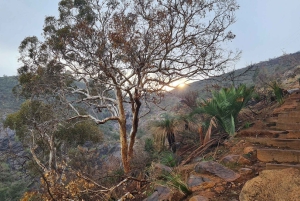 Перт: водопады, полевые цветы и походы в Ванду