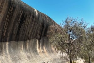 Perth: Wave Rock, Mulka's Cave, and York (Full Day Tour)