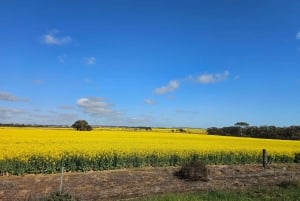 Perth: Wave Rock, Mulka's Cave, and York (Full Day Tour)