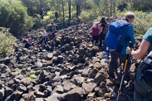 Perth: Wungong Gorge Extreme Endurance Hike (äärimmäinen kestävyysvaellus)