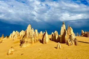 Pinnacles Wüste Tagestour