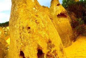 Excursion d'une journée dans le désert des Pinnacles