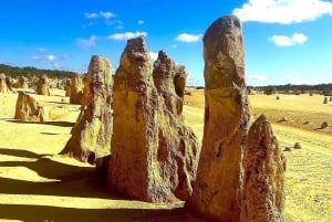 Excursion d'une journée dans le désert des Pinnacles