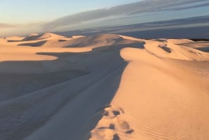 Pinnacles Desert Private Tour