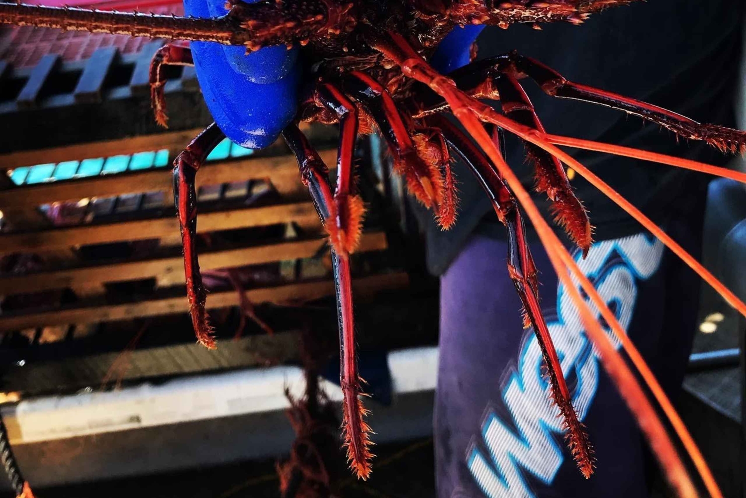 Rockingham: Lobster Catch and Keep Tour with Refreshments