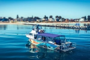 Rockingham: Lobster Catch and Keep Tour with Refreshments