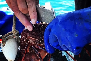 Rockingham: Lobster Catch and Keep Tour with Refreshments