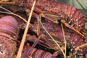 Rockingham: Lobster Catch and Keep Tour with Refreshments