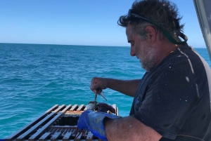 Rockingham: Lobster Catch and Keep Tour with Refreshments