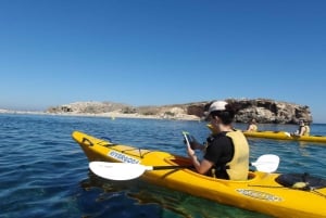 Rockingham: Wycieczka kajakiem morskim na Wyspy Fok i Pingwinów