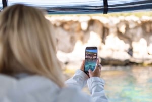 Rockingham: Shoalwateröarna, delfiner och sjölejonstur