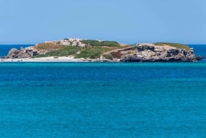 Rockingham: Snorkel Adventure Sightseeing Cruise with Lunch
