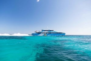 Rottnest Grand Island Package with Ferry, Tour & Light Lunch