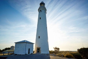 Rottnest Island: tour di 90 minuti dell'isola con Bayseeker