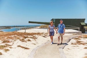 Excursão de um dia com tudo incluído na Ilha Rottnest saindo de Perth