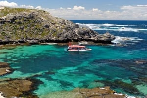Fra Perth eller Fremantle: Dagstur til Rottnest Island med ferge inkludert båttur på øya