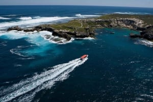 Excursion d'une journée sur l'île de Rottnest en ferry et en bateau d'aventure