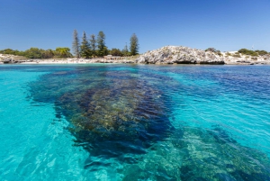 Rottnest Island Day Trip by Ferry & Adventure Boat Tour