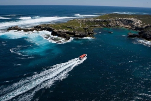 Rottnest Island Day Trip by Ferry & Adventure Boat Tour