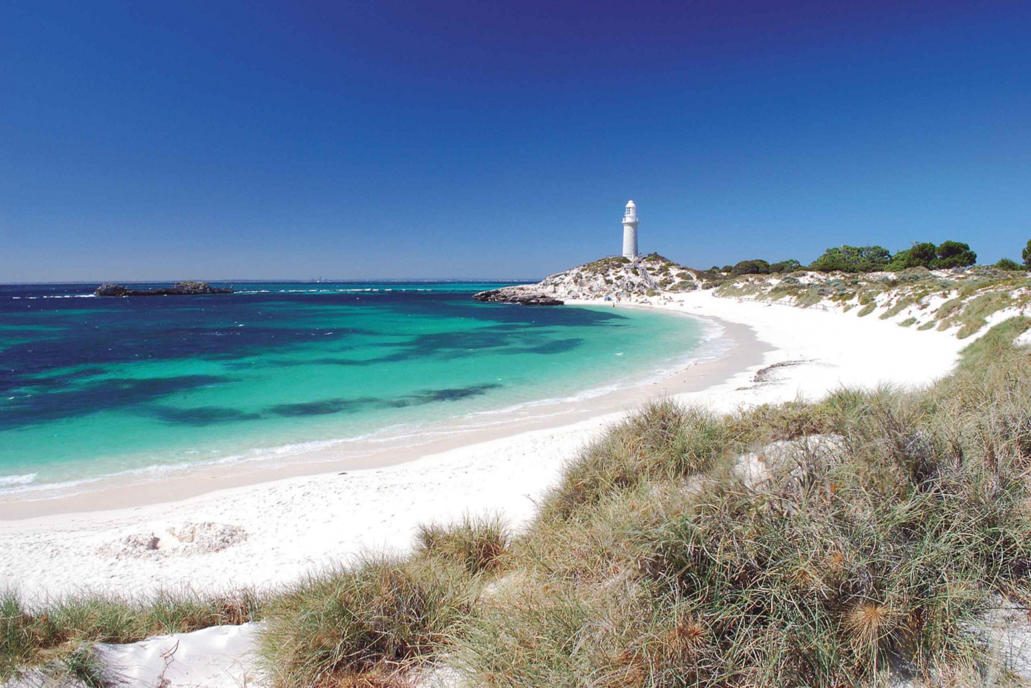 Rottnest Island Ferry & Bike Trip from Perth or Fremantle