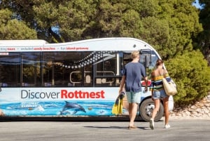 Rottnest Island Ferry & Bus Tour from Perth or Fremantle
