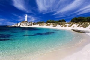 From Perth: Rottnest Island Ferry & Bus Tour